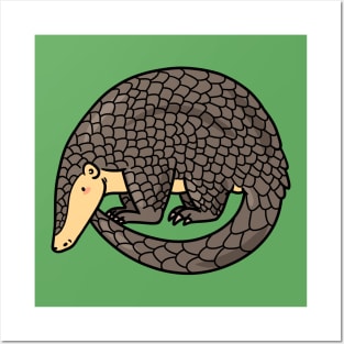 Pangolin Posters and Art